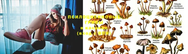 ешки Козловка