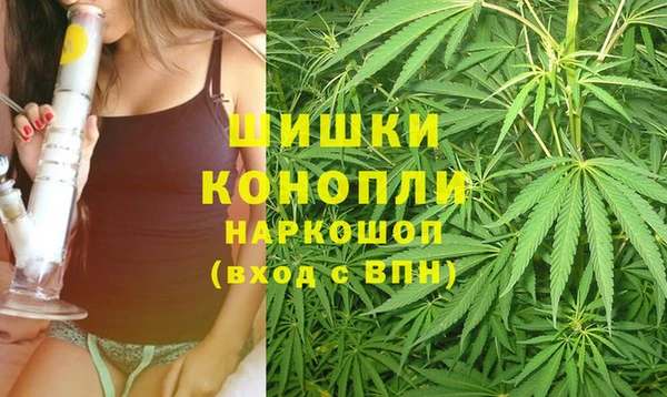 ешки Козловка