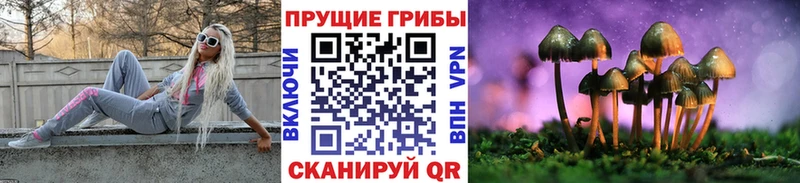 Псилоцибиновые грибы ЛСД  Ахтырский 